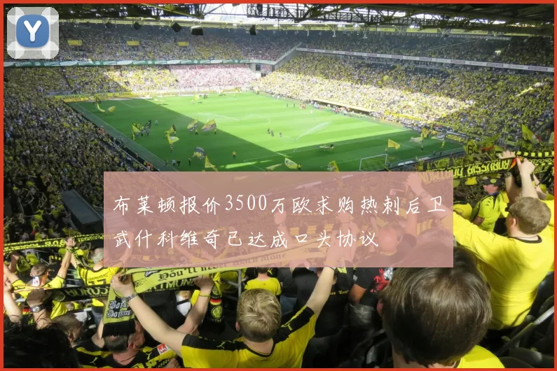 布莱顿报价3500万欧求购热刺后卫武什科维奇已达成口头协议